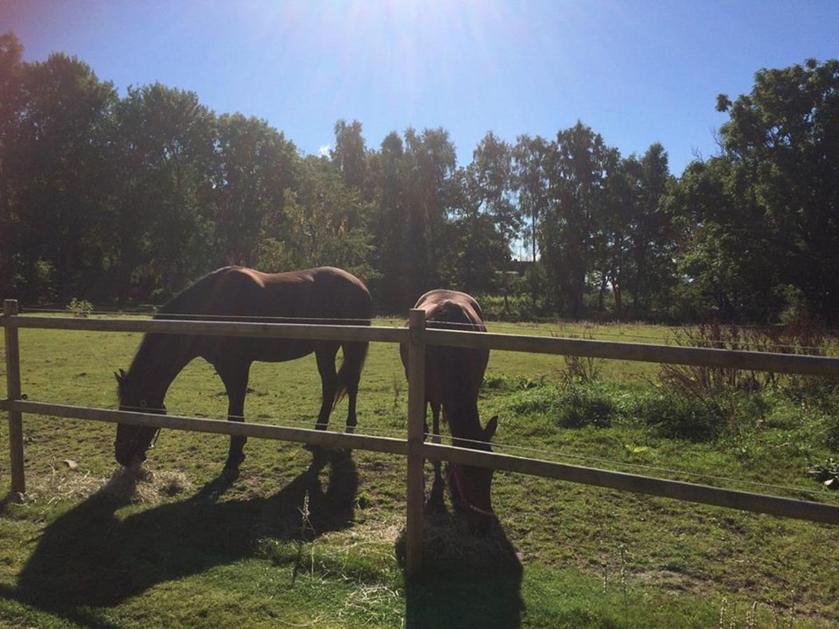 Ganarps Rum Och Stuguthyrning Ängelholm Kültér fotó